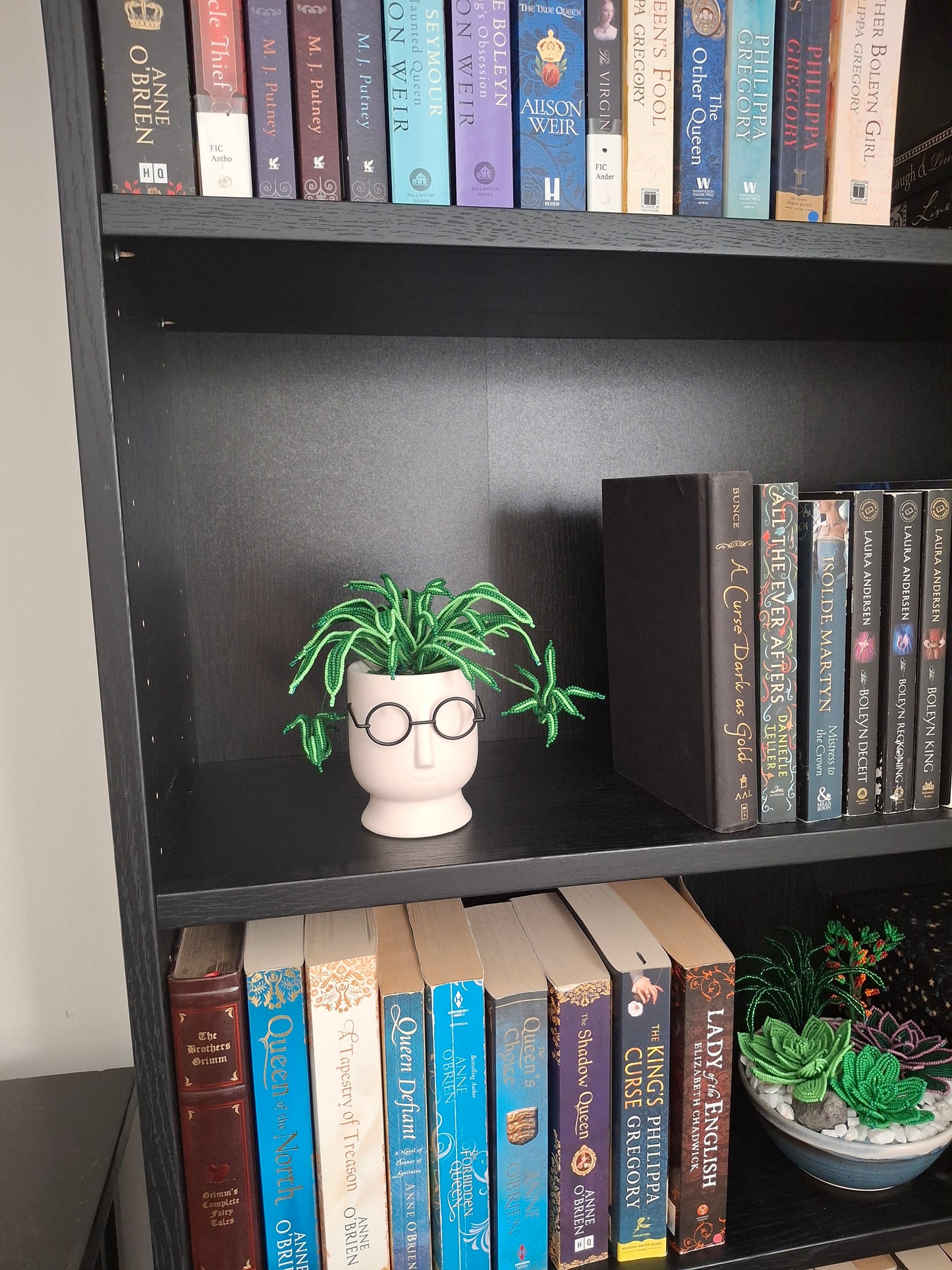 Spider Plant in Face Planter - Small