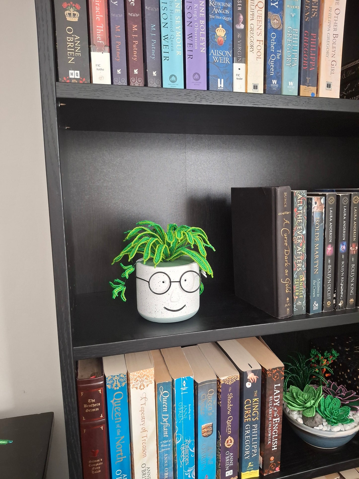 Spider Plant in Face Planter - Wide