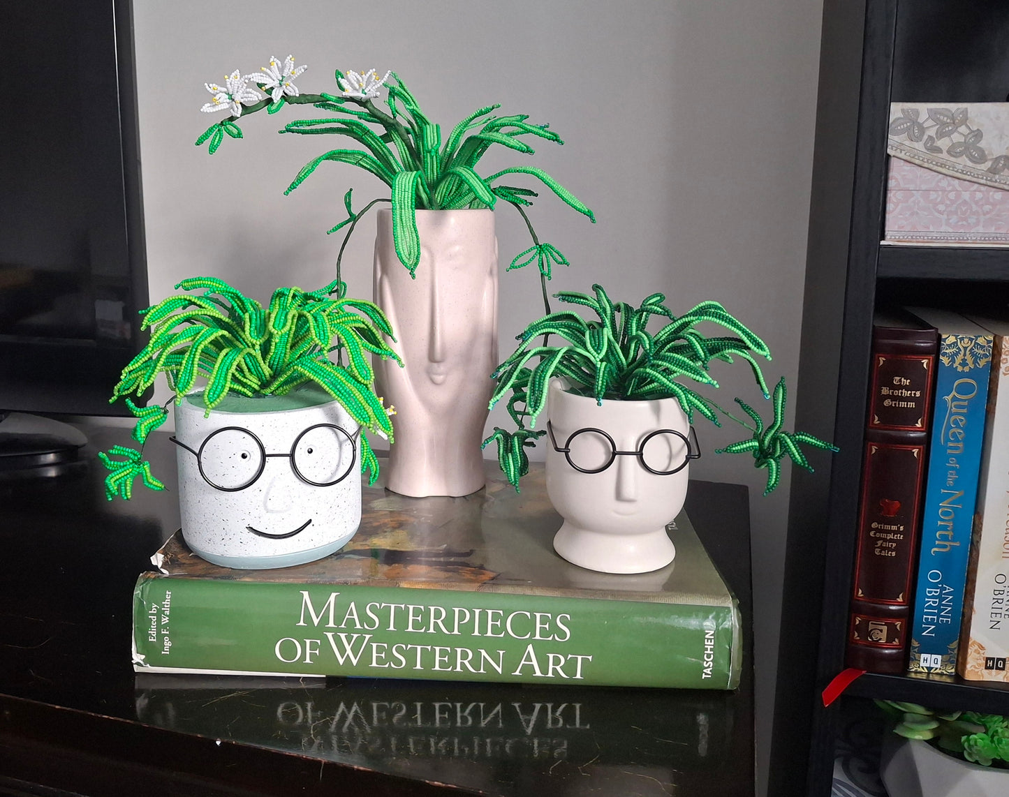 Spider Plant in Face Planter - Wide