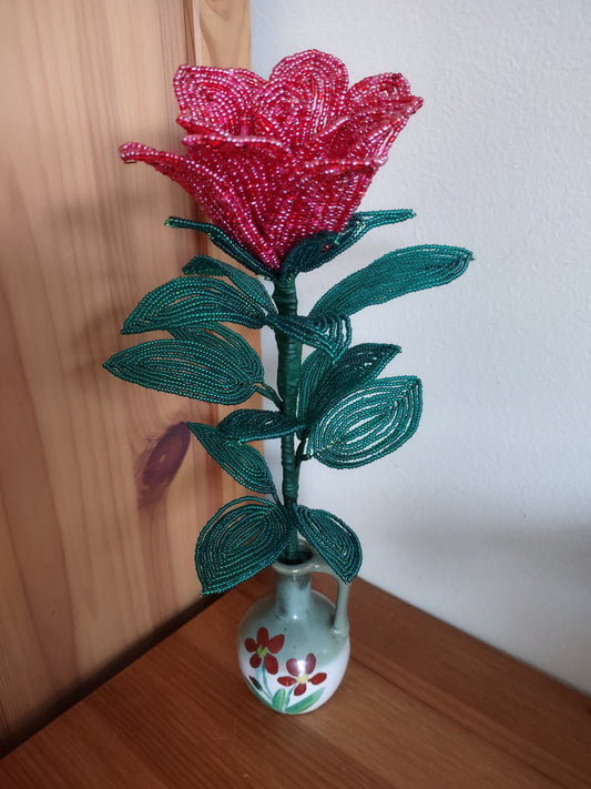 Singular Red Rose