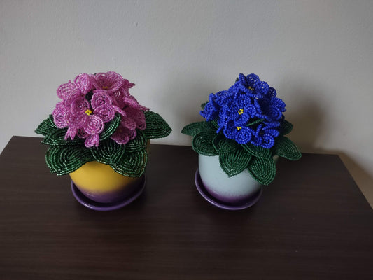 Violet Flower