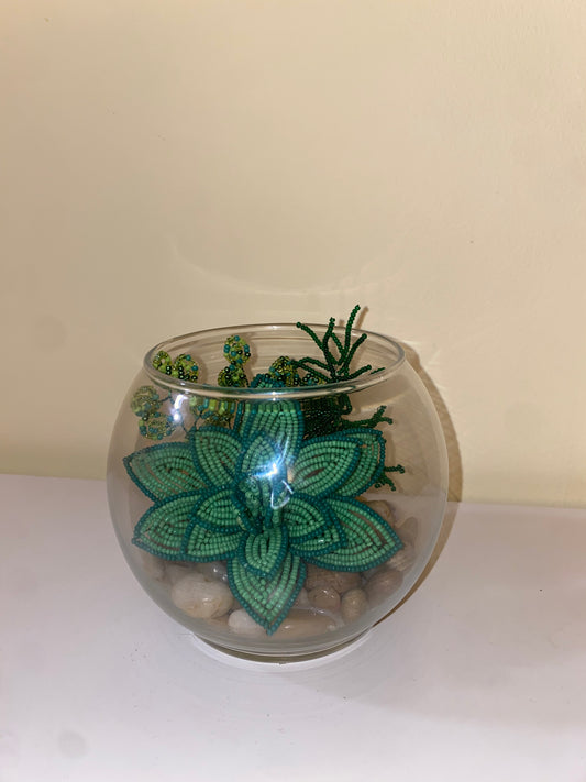 Green Succulent Plant in Glass Bowl