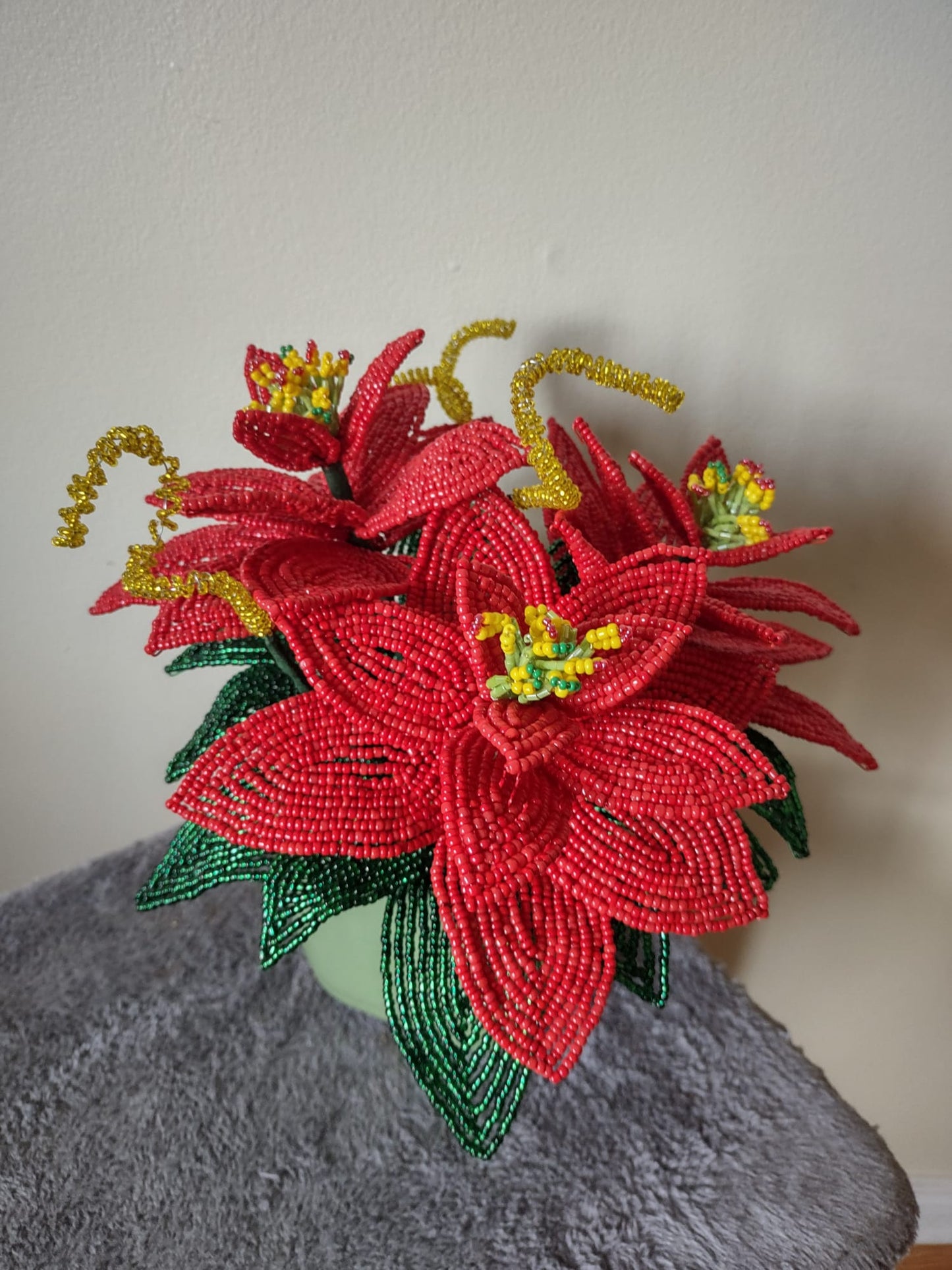 Poinsettia Flower