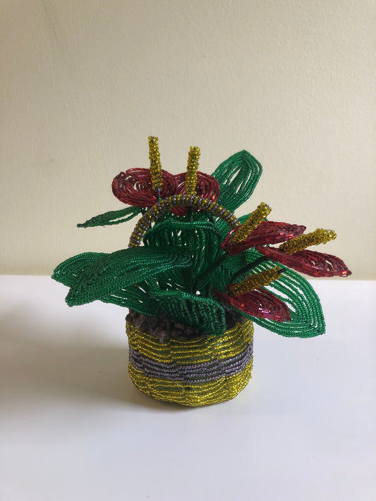 Laceleaf Flower with Basket
