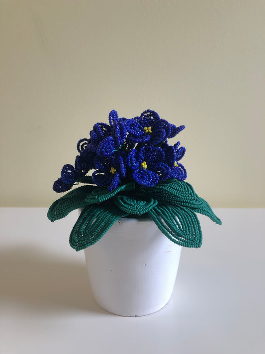Violet Flower