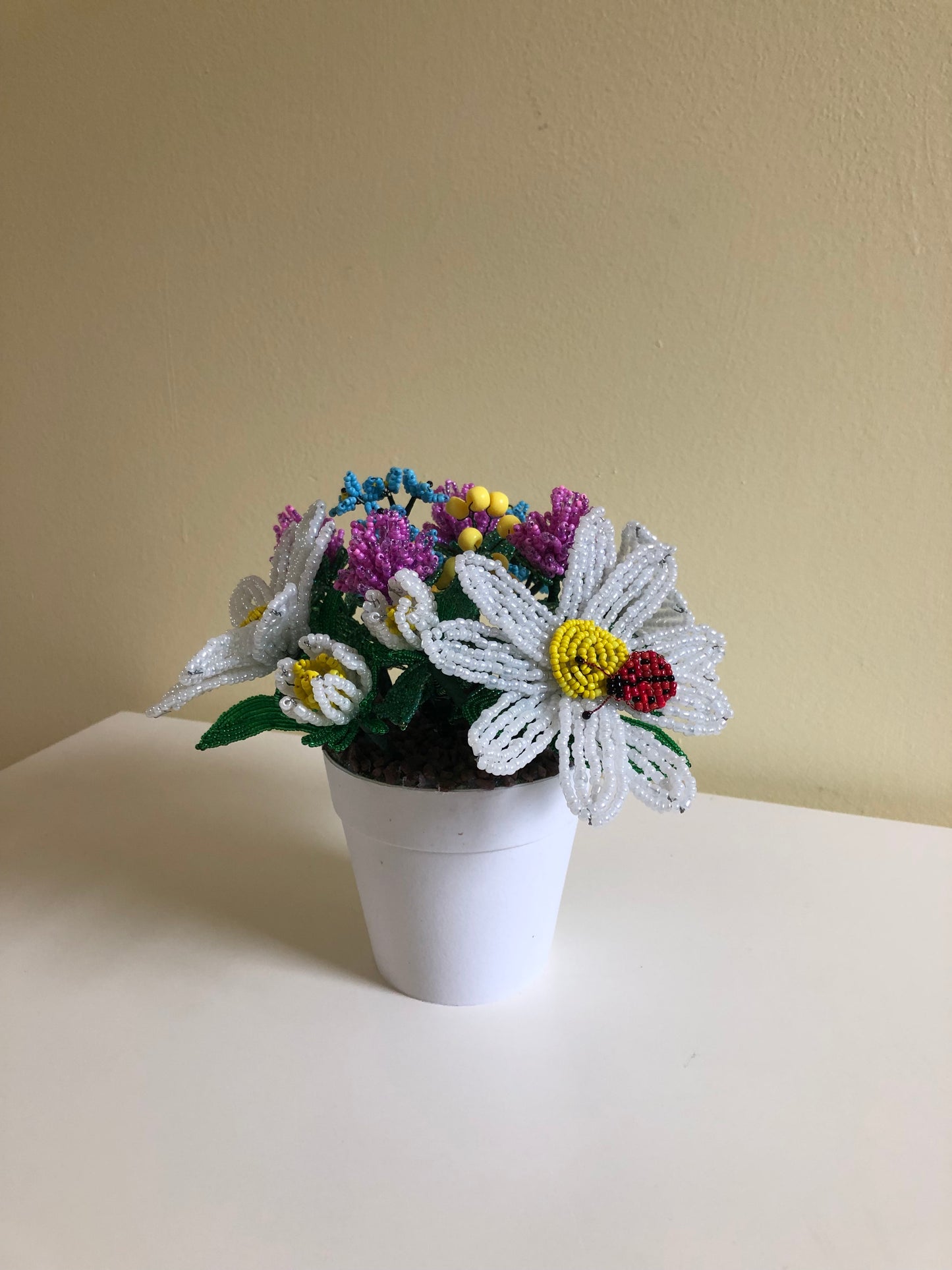 Assorted Potted Daisy Bouquet