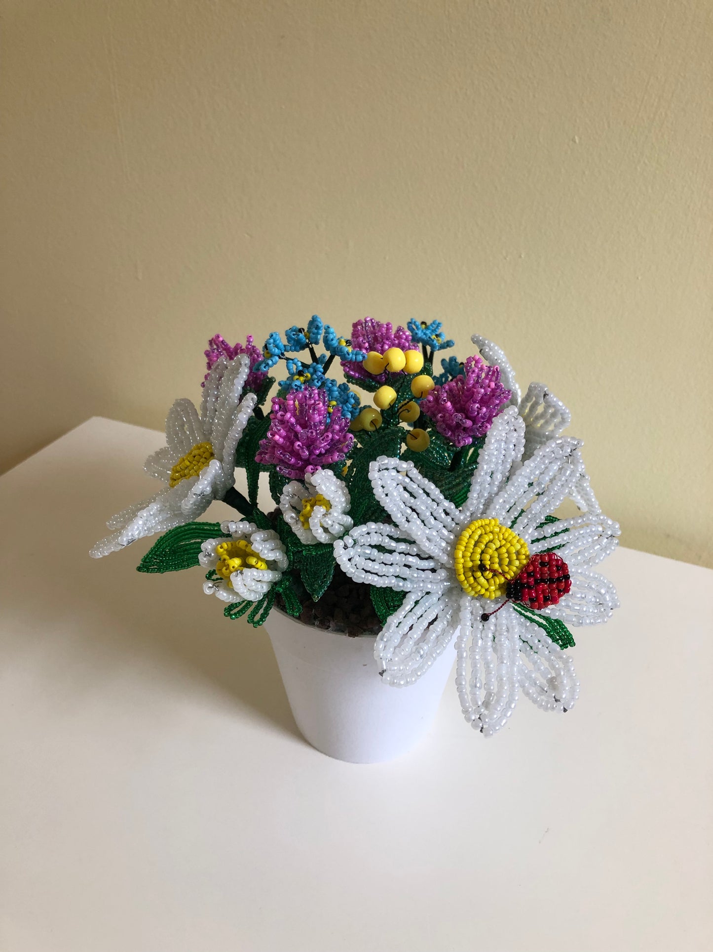 Assorted Potted Daisy Bouquet