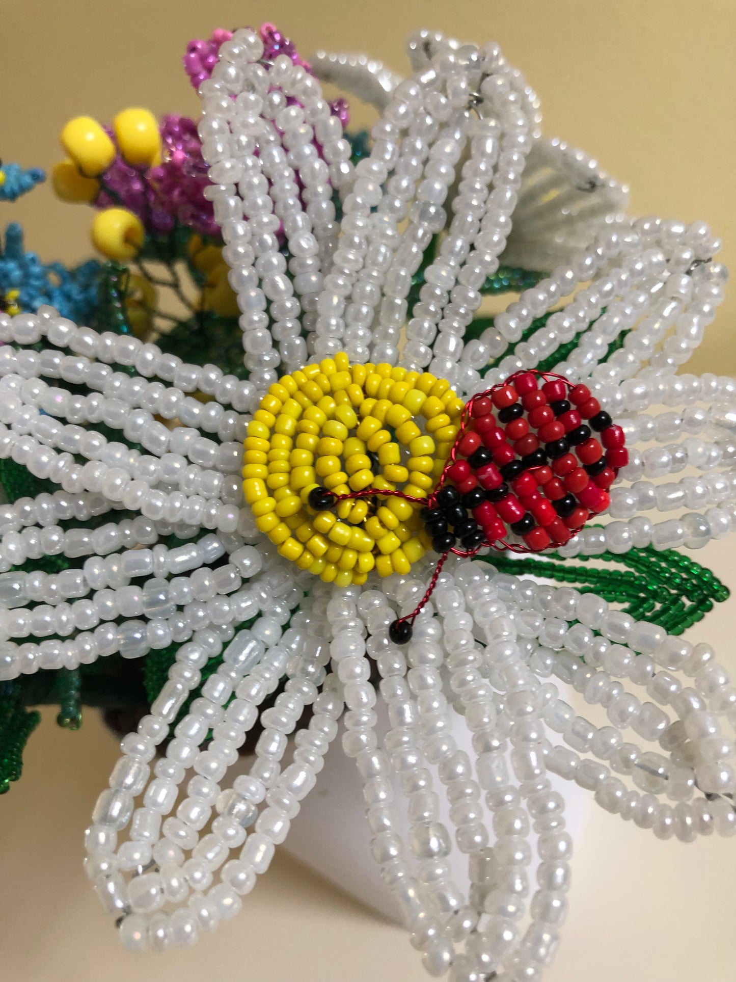 Assorted Potted Daisy Bouquet