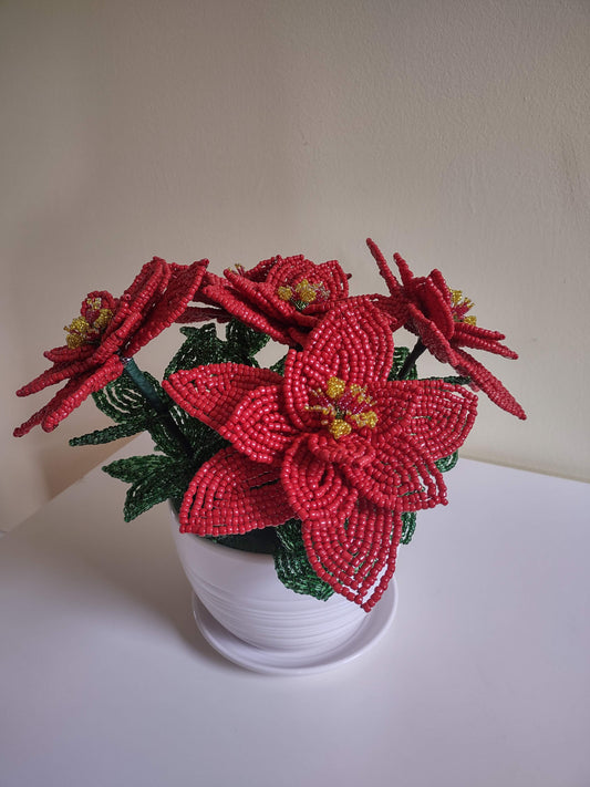 Large Red Poinsettia