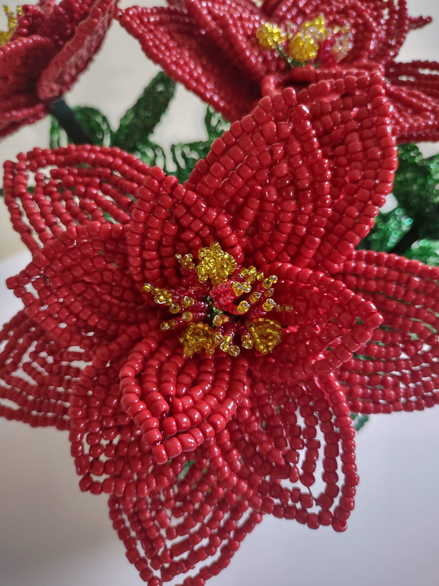 Large Red Poinsettia